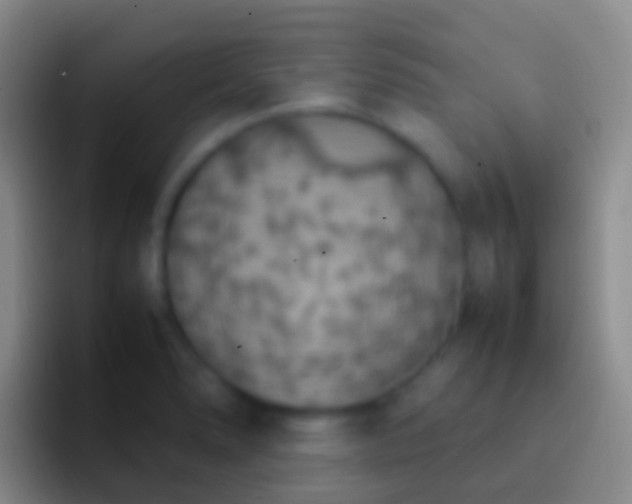 X0000092331278200709211301