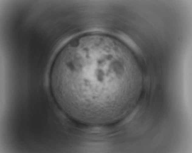 X0000092331279200709211301
