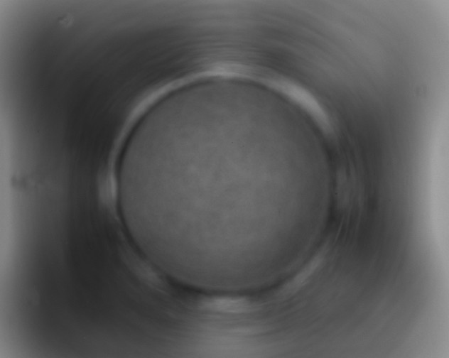 X0000092331280200709211301