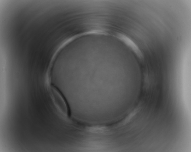 X0000092331284200709211300