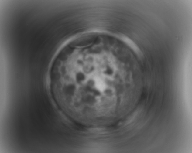 X0000092331287200709211300