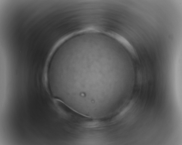 X0000092331288200709211300