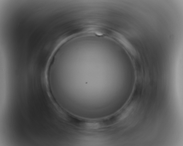 X0000092331291200709211300