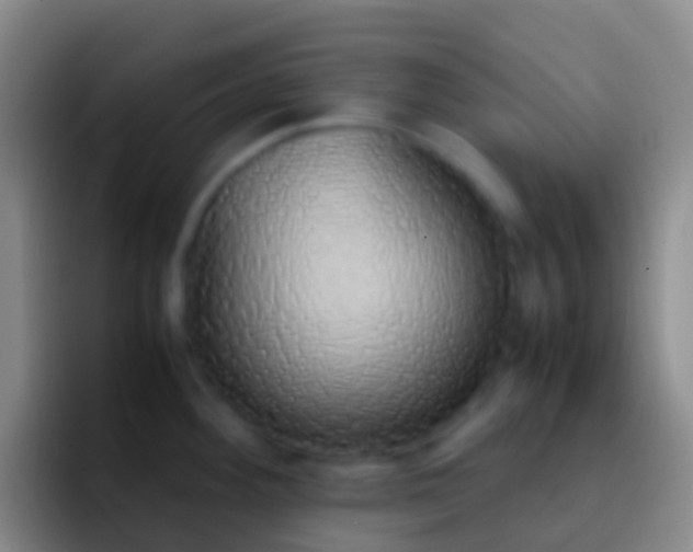 X0000092331292200709211300