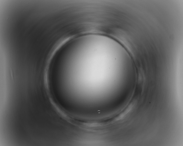 X0000092331293200709211300