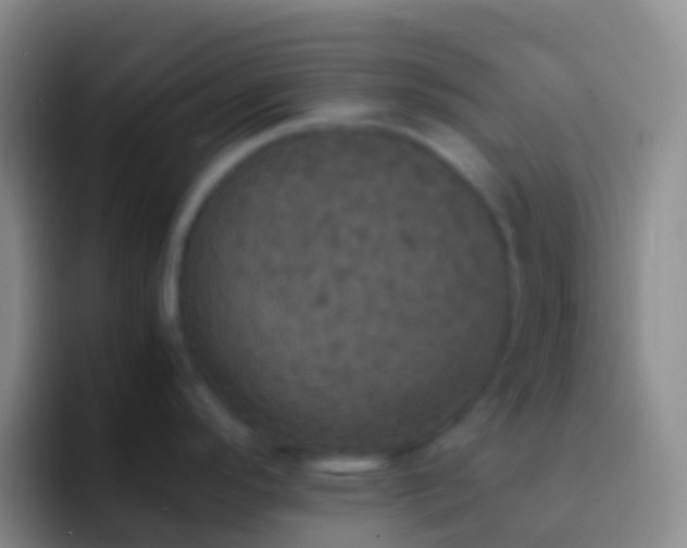 X0000092331296200709211300