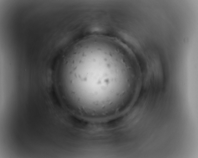 X0000092331301200709211300