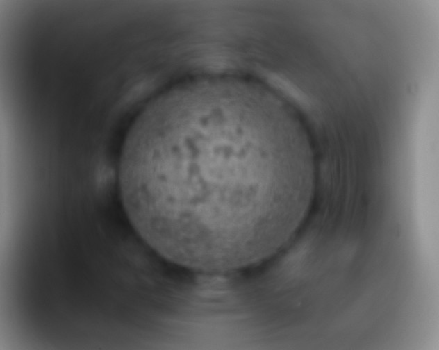 X0000092331302200709211300