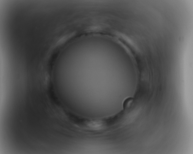 X0000092331303200709211300