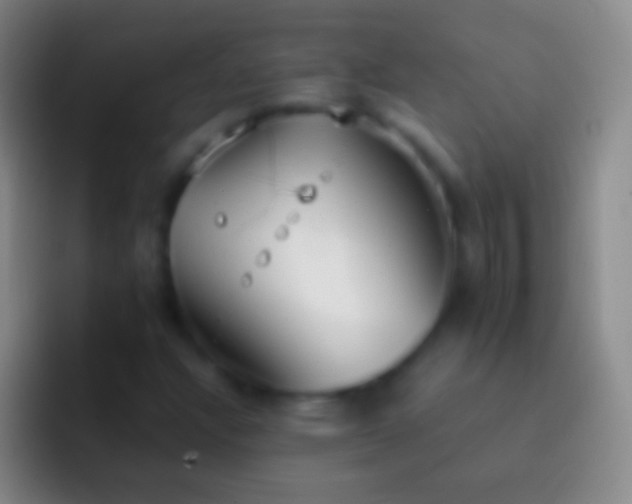 X0000092331304200709211300