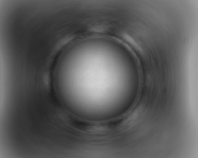 X0000092331307200709211300
