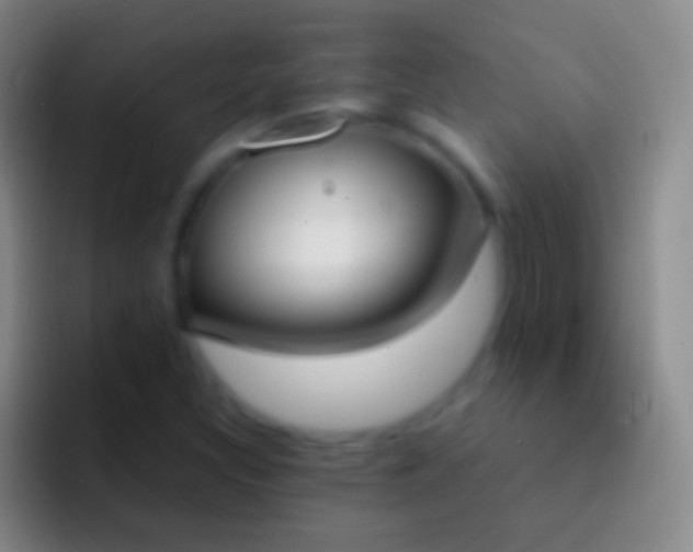 X0000092331308200709211300
