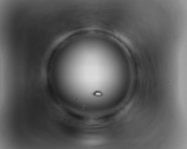 X0000092331311200709211300