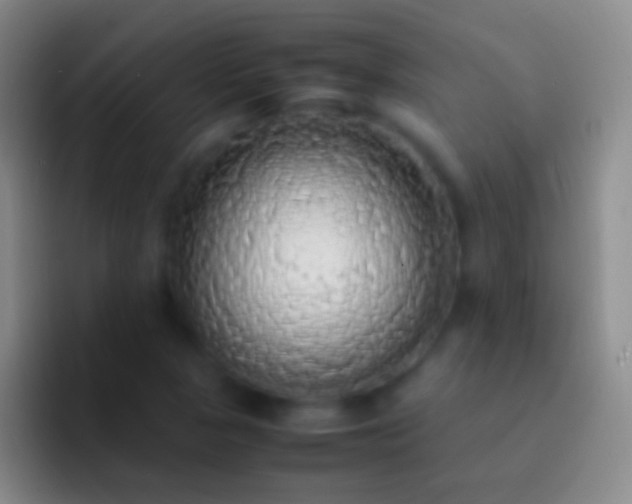 X0000092331313200709211300
