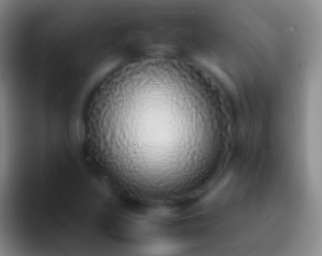 X0000092331317200709211300