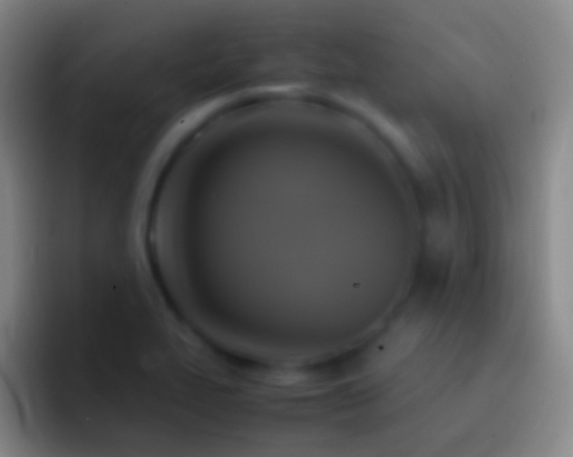 X0000092331319200709211300