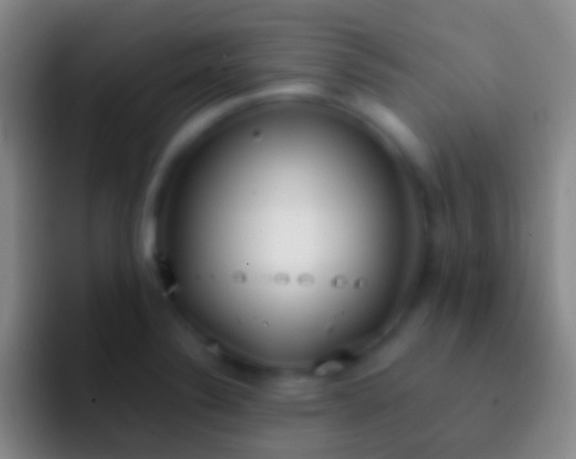 X0000092331324200709211300