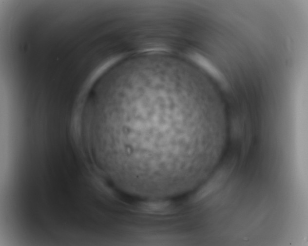 X0000092331325200709211300