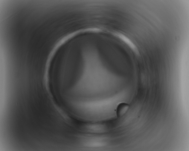 X0000092331327200709211300