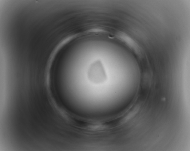 X0000092331331200709211300