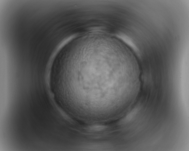 X0000092331333200709211300