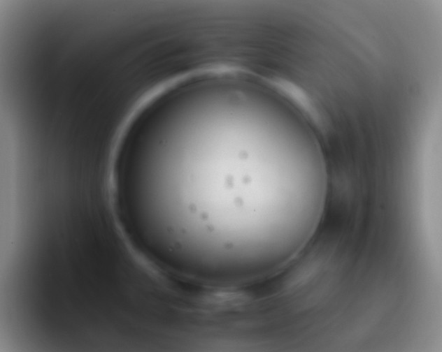 X0000092331335200709211300