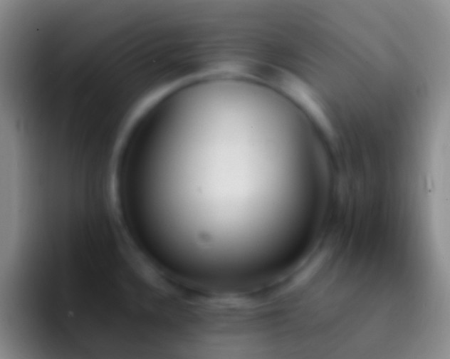 X0000092331336200709211300