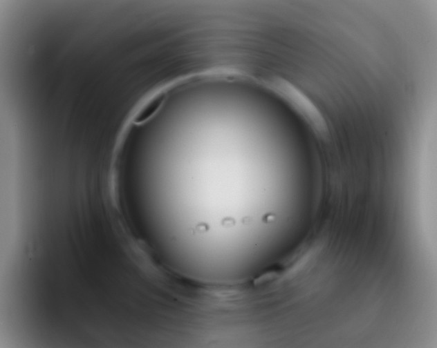 X0000092331340200709211300