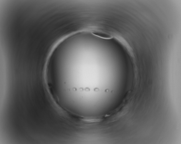 X0000092331344200709211300