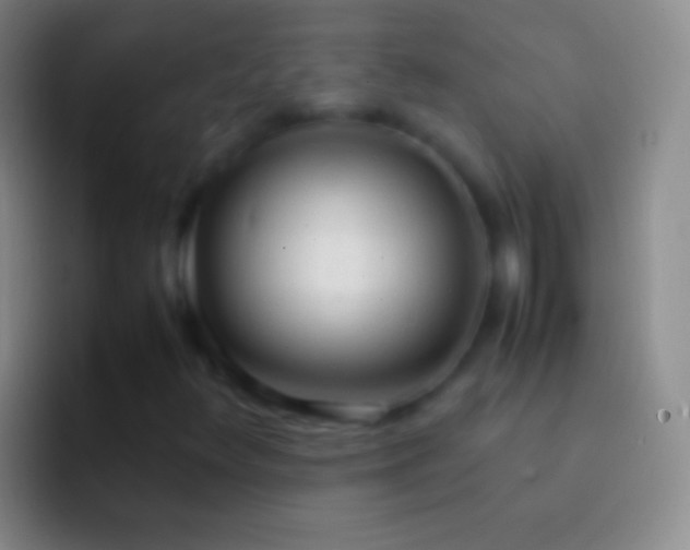 X0000092331348200709211300