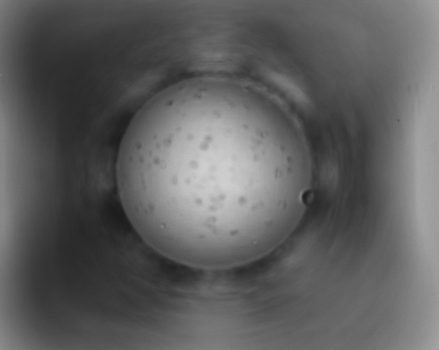 X0000092331350200709211300