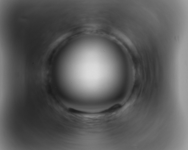 X0000092331352200709211300