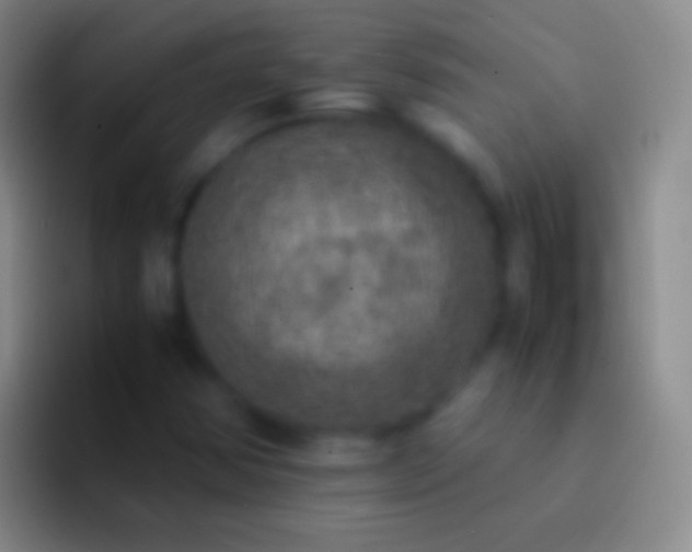 X0000092331354200709211300