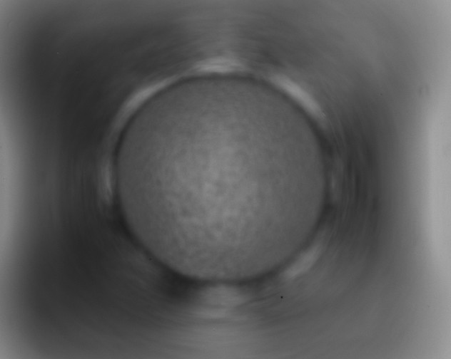 X0000092331358200709211300