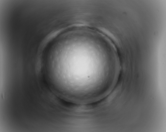 X0000092331359200709211300