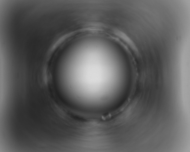 X0000092331360200709211300