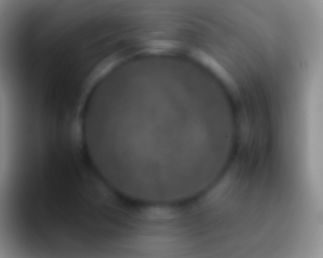 X0000092331362200709211300