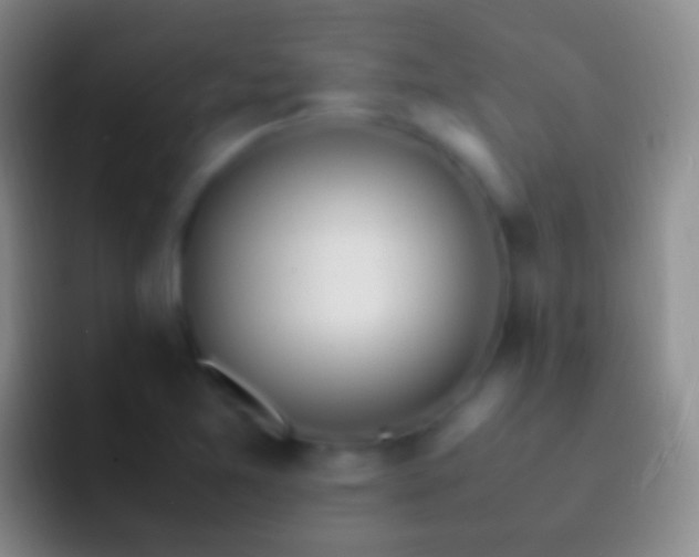 X0000092331365200709211300