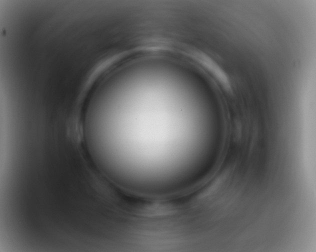X0000092331368200709211259