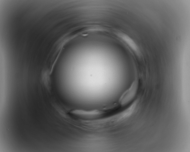 X0000092331369200709211259