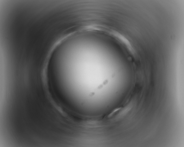 X0000092331373200709211259