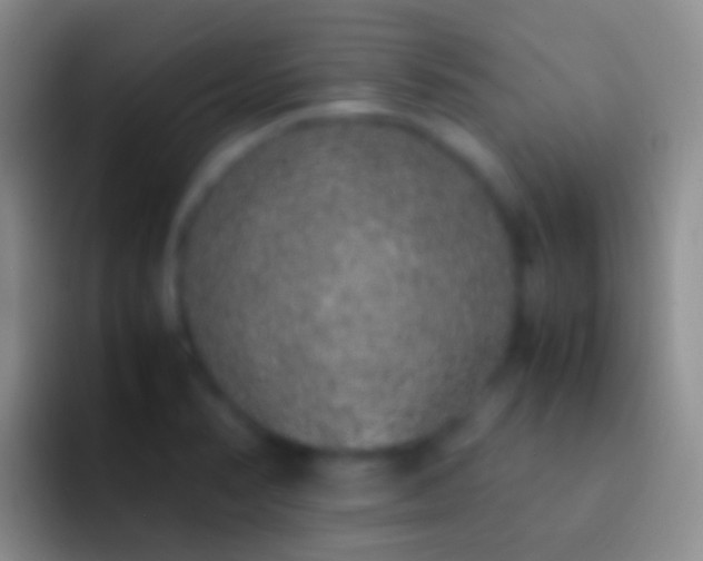 X0000092331374200709211259