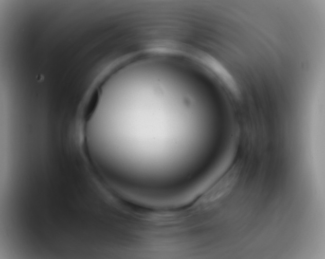 X0000092331376200709211259