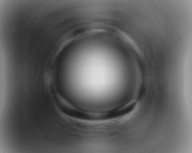 X0000092331377200709211259