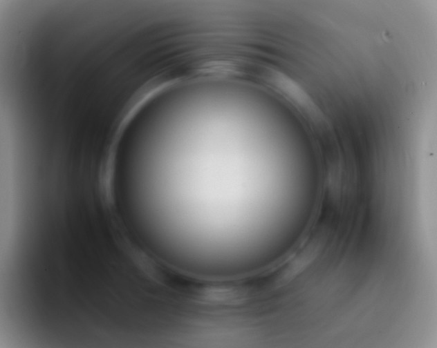 X0000092331378200709211259