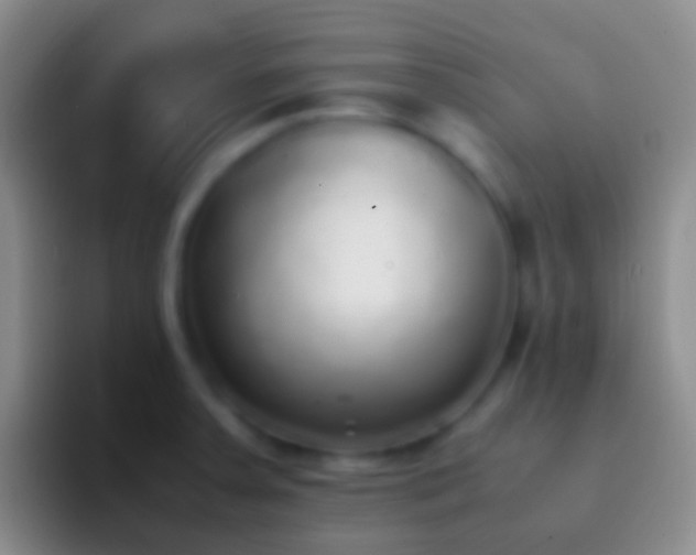 X0000092331379200709211259