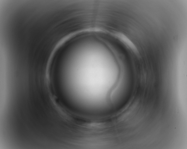 X0000092331380200709211259