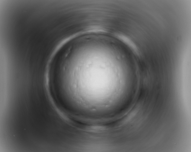 X0000092331383200709211259
