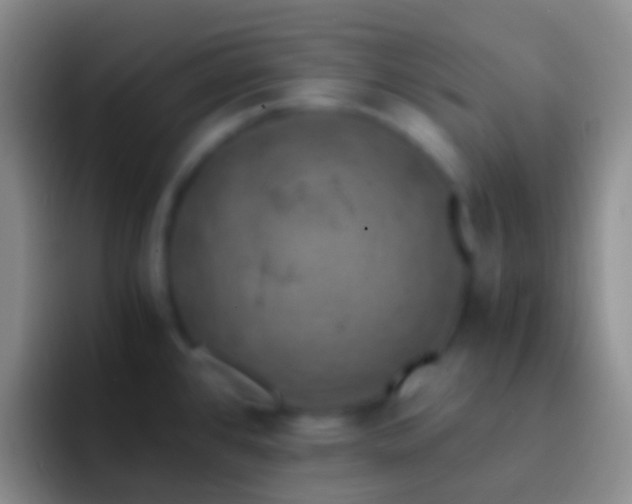 X0000092331384200709211259