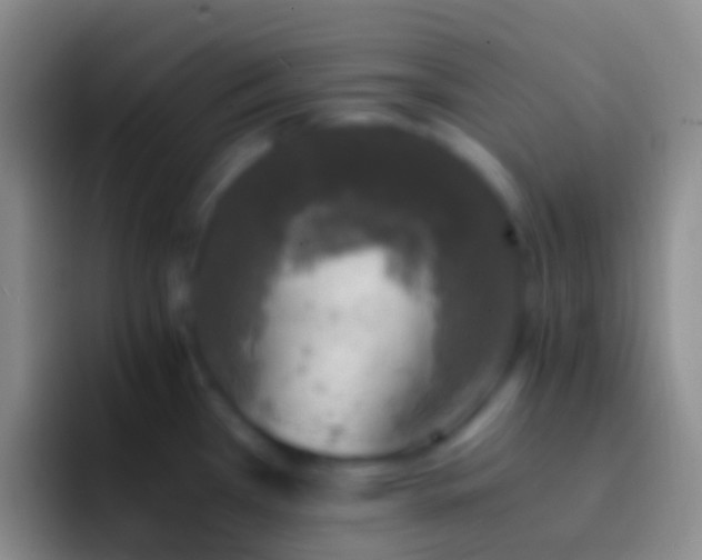 X0000092331385200709211259